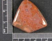 Ocean Jasper Cabochon Hand Cut JO230