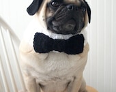 Black Tie Affair Dog Collar - Wedding Dog Collar