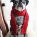 Custom Crochet Dog Scarf - For Toy and Small Dog Breeds