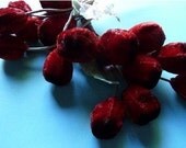Velvet Grapes in  Red Shaded Black for Hats, Sashes, Corsages