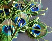 Green boutonnieres, groomsmen, wedding feather boutineers, swirly feathers, light green, flower buds, mens lapel pins