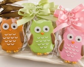 Owl Cookie Favors - 1 Dozen Decorated Sugar Cookies