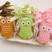 Owl Cookie Favors - 1 Dozen Decorated Sugar Cookies