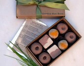 NEW SELECTION Seed Bombs - Summer Grill Garden Bon Bons