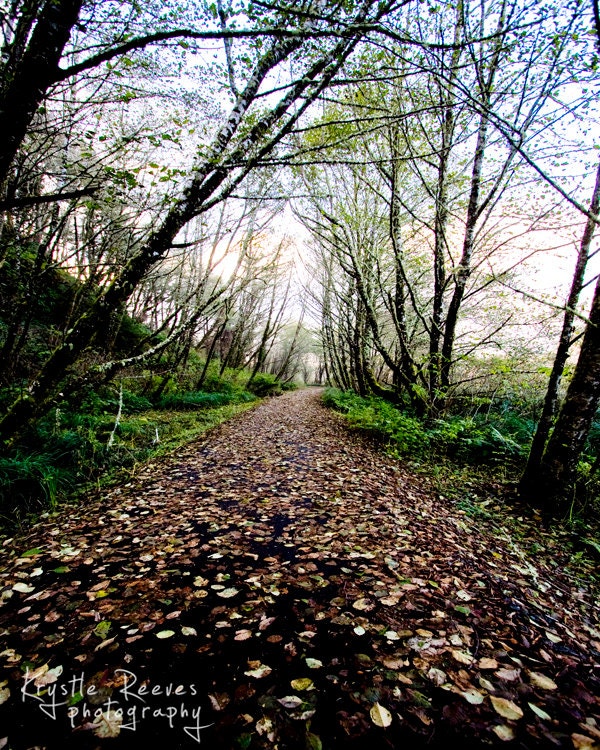 SALE Pathway (8x10 print)