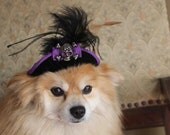 Pirate hat for dog or cat