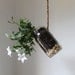 Hanging Mason Jar Planter with drainage - Upcycled home & garden decor - Quart Sized Ball Jar herb and flower planter - BootsNGus design