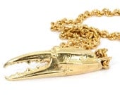 Magic Claw Pendant