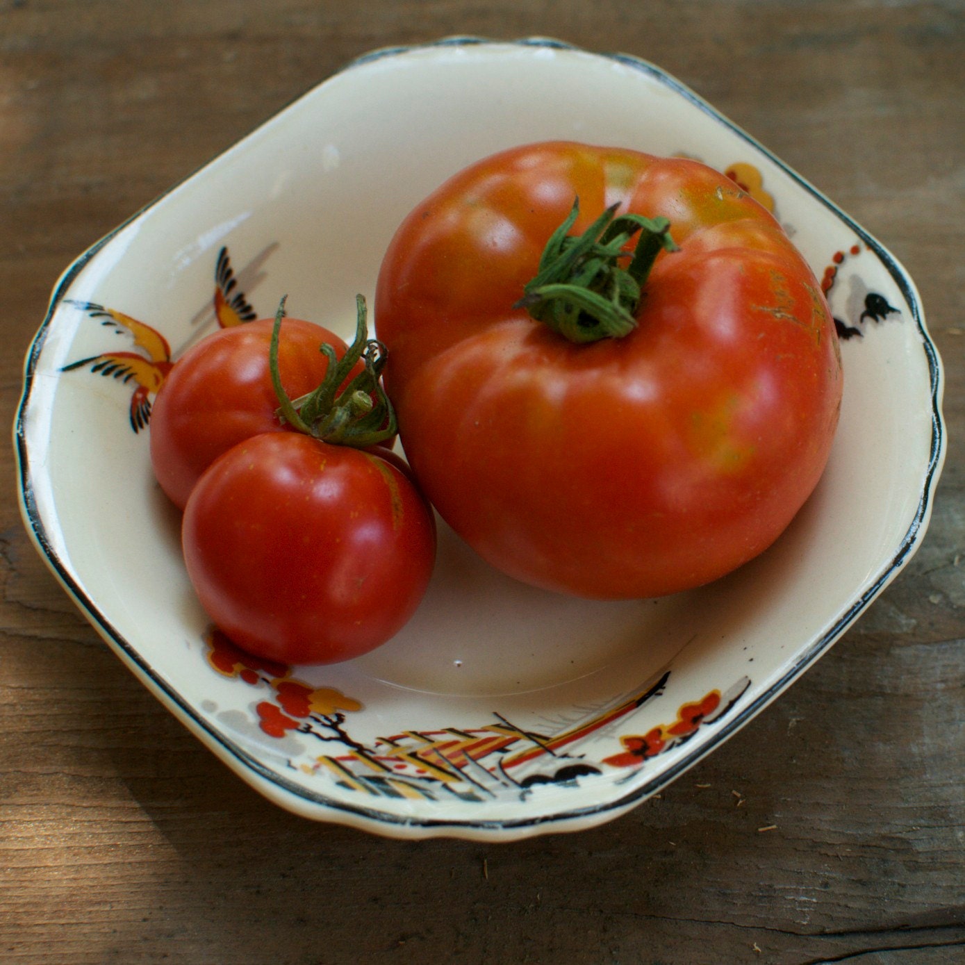 Stupice Heirloom Tomato Plant Seeds - Naturally and Organically Grown Untreated Seed