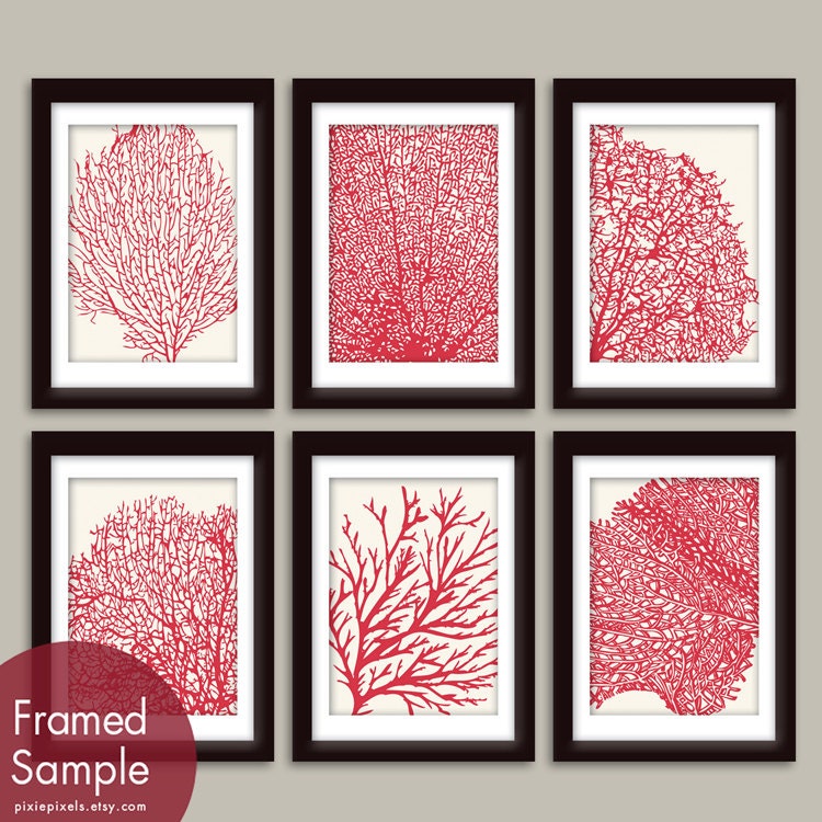 Underwater Sea Coral Collection (Series D) Set of 6 - 5x7 Art Prints - Featured in Soft Cream and Ruby Red