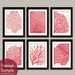 Underwater Sea Coral Collection (Series D) Set of 6 - 5x7 Art Prints - Featured in Soft Cream and Ruby Red