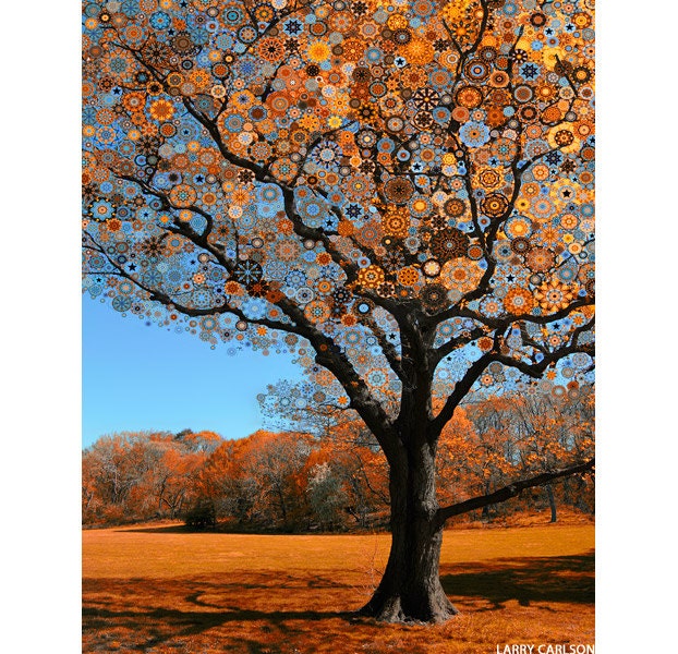 Orange.Star.Tree...16x20 matted fine art landscape photograph collage / nature giclee print