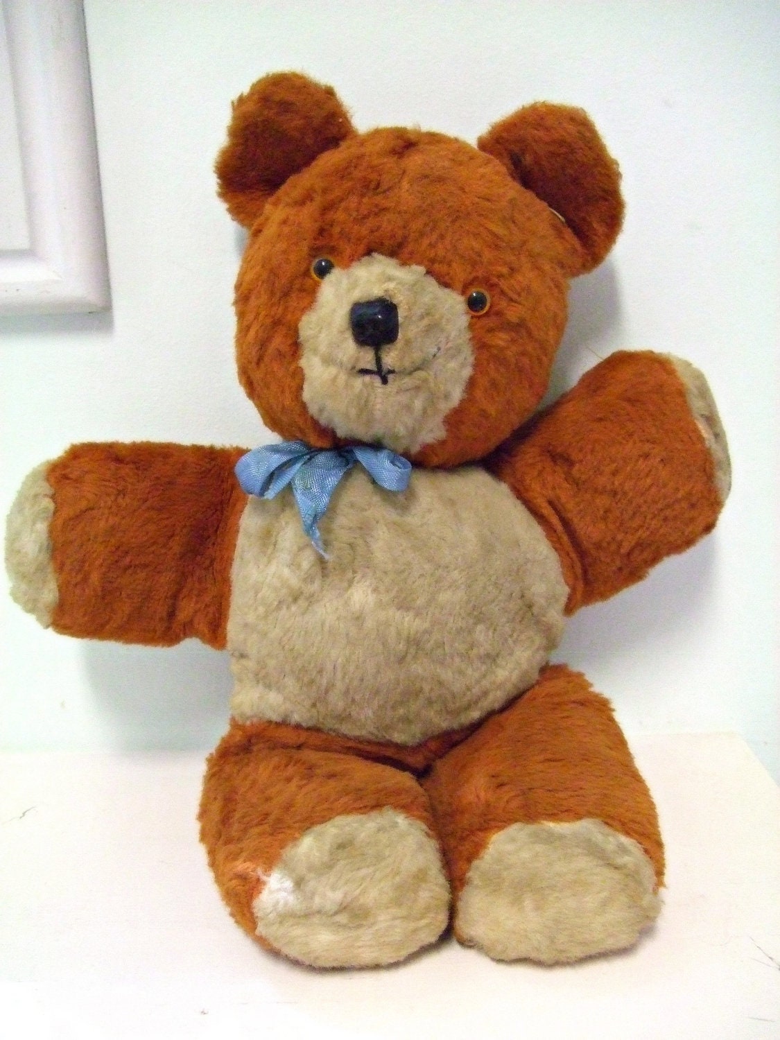 teddy bear p name