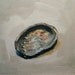 The Find, Original Oil Painting Still Life of Abalone Shell