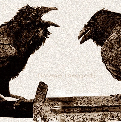 Award Winning Print- Raven (bird, Viking, crow) Series THOUGHT and MEMORY, Brown ink edition, Etching, 5 inch x 14 inch 2012