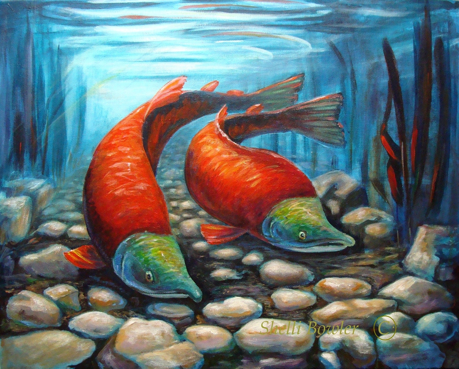 For DAD-Sockeye Salmon Painting,  Giclee Print , 8x10 from an Original,  Colorful, Turquoise blue, Cadmium Red .by Shelli Bowler