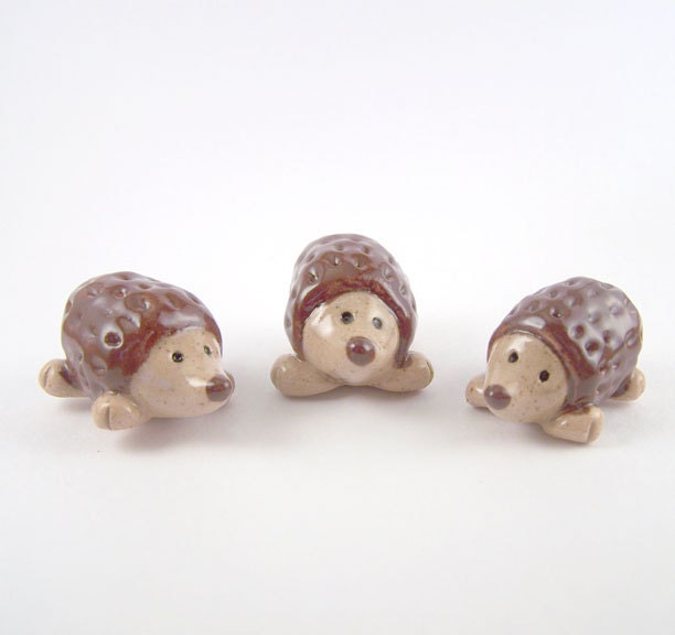 Miniature Hedgehogs