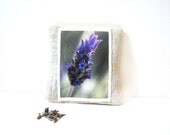 Organic lavender sachet natural photograph draw freshener gift for her under 10 flower herb
