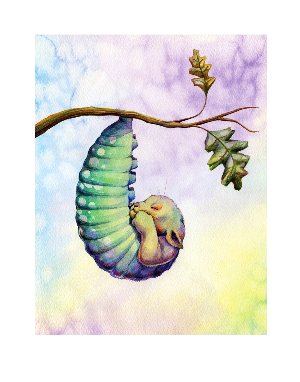 Cat-Apillar : 11x14 Signed Open Edition Print
