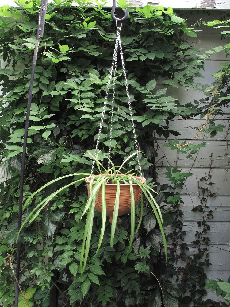 Wheel thrown Large planter Hanging brown ceramic unglazed simple Urban Garden French country woodland gardening Bowl, also white Porcelain
