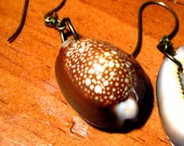 Spotted Cowrie Shell Earrings