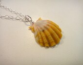 Yellow and White Sunrise Shell on Sterling Silver Chain