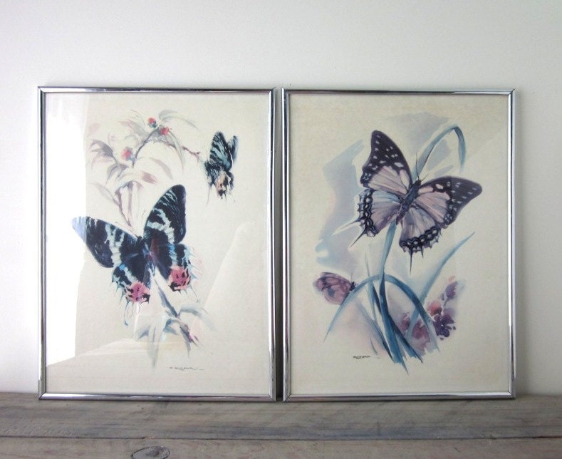 Framed Butterfly Prints Set of Two