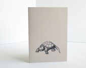 Turtle note card // nature note card // thank you card, or for any occasion