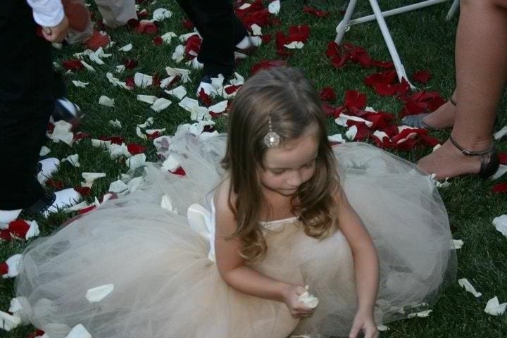 Flower Girl tutu in champagne and honey beige tulle sashed with ivory satin.