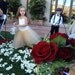 Flower Girl tutu in champagne and honey beige tulle sashed with ivory satin.