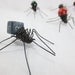 Blueish Cube Dungeons and Dragons Dice Spider Is The Perfect Gaming "Pet"