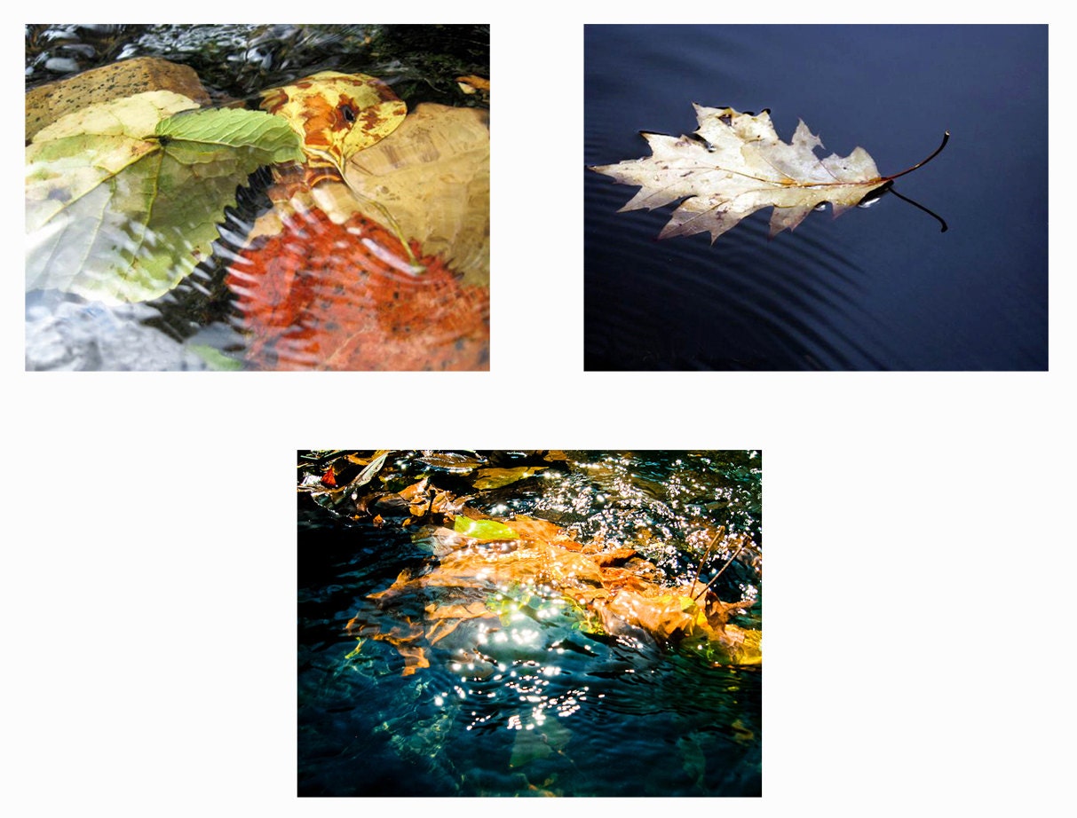 SALE Set of 3 Fall Leaf Images water harvest home decor ripples movement motion blue green orange yellow october leaves fine art photos 5x7