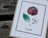 Apple Pomme, Fall Fruit Autumn with French Text. Deep Red Burgundy Color. Recycled Series Watercolors Greeting Cards - Free US Shipping