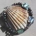 Abalone Shell & Freshwater Pearl Gemstone Bracelet - "Peacock Shimmer"