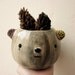 BEAR POT