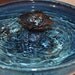SECONDS SALE - Ceramic Cat Fountain, Handmade, Foodsafe - "Midnight Lotus" - 12 Plus Inch Diameter