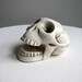 Have One - Ceramic Skull Cigarette Holder - Novelty Smoking Japan 1950s You Need It Like A Hole In Your Head