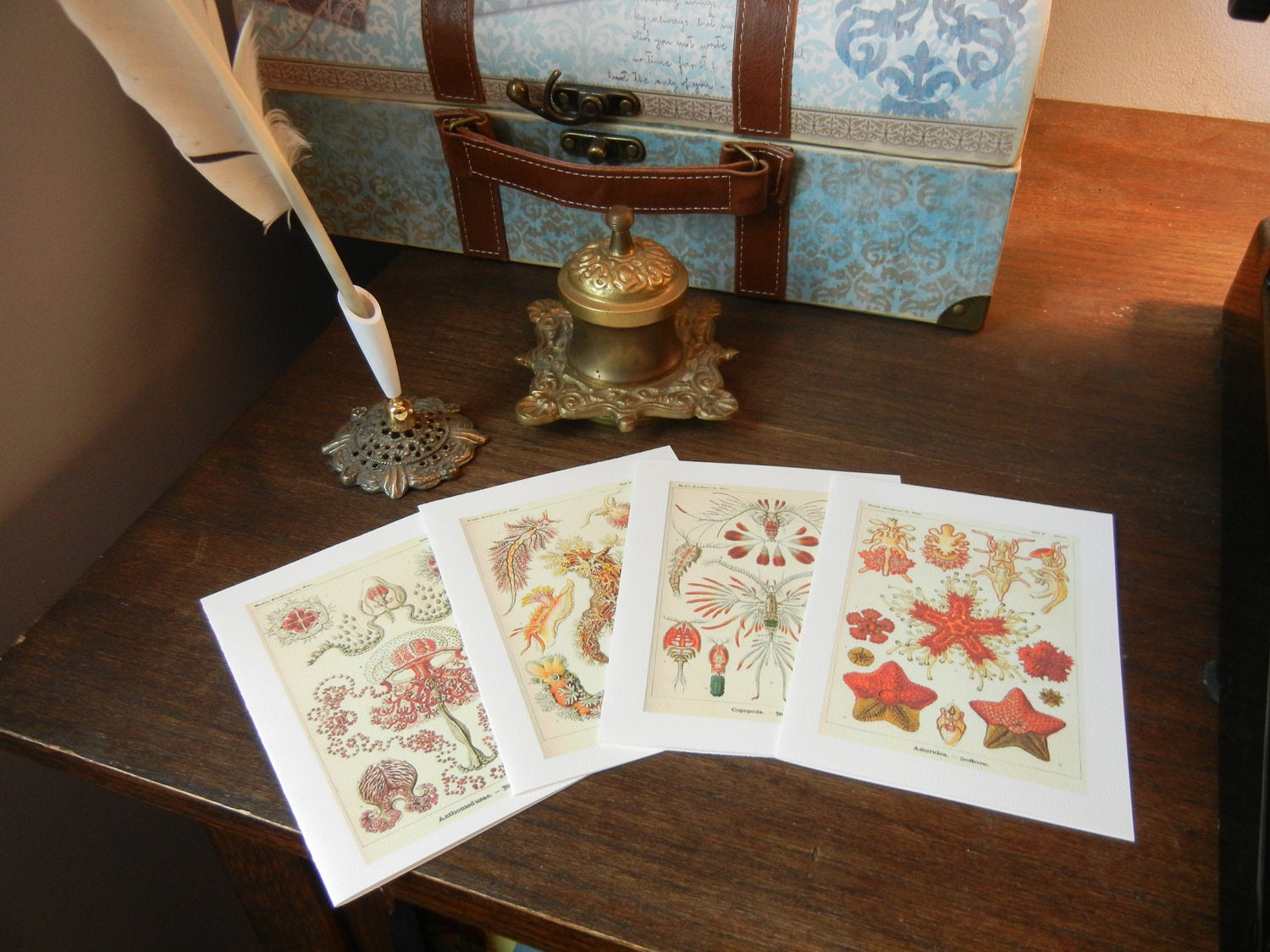 Ancient Sea Life  Note Card Set
