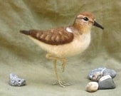 Needle felted sandpiper, poseable shorebird, beach house decor