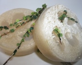 Eucalyptus Aromatherapy Handmade Exfoliating Loofa Soap