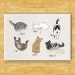 Cats Being Cats Magnet - Funny Cat Gift - Refrigerator Magnet