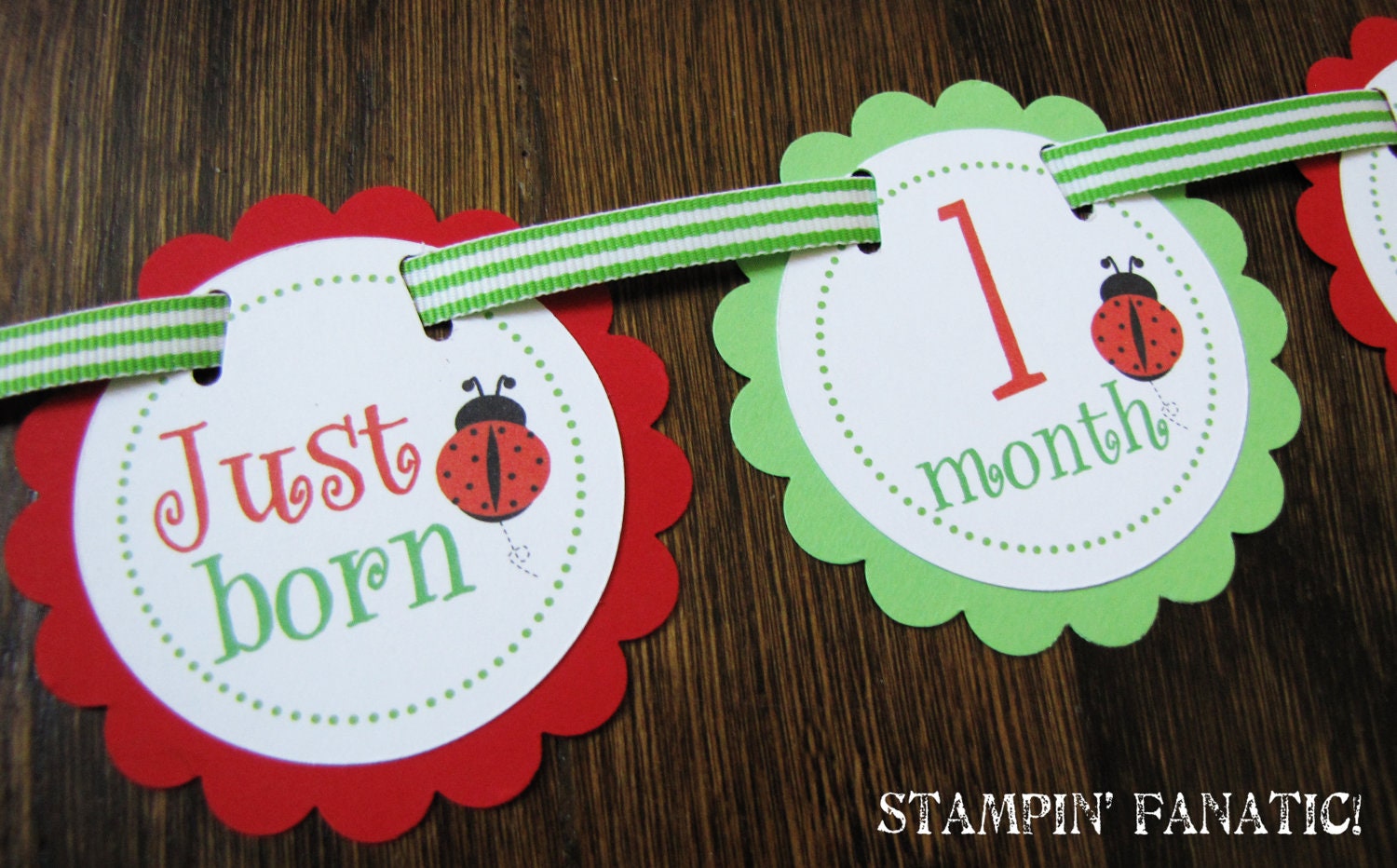 Red and Lime Little Ladybug Collection Just Born/0-12 mos Photo Banner. First Year Banner. First Birthday Banner. Picture Banner. Il_170x135