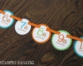 READY to SHIP Look Whoo's One Collection: Just Born/0-12 mos Mini Banner with clips to hang pictures. Owl First Birthday photo banner. Il_170x135