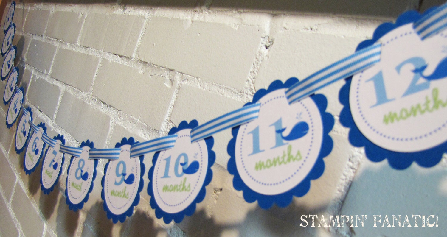 Wittle Whale Collection: Just Born/0-12 Mos Whale First Birthday Photo Picture Banner w/clips for hanging 4x6 pictures. Il_570xn