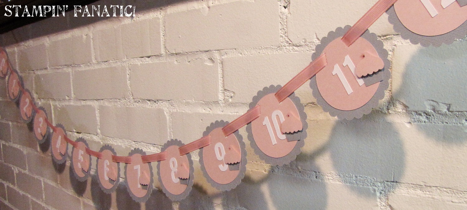 Cupcake Collection: Just Born/0-12 mos banner for hanging monthly photos. Pink and Gray Cupcake First Birthday Banner. Il_570xn