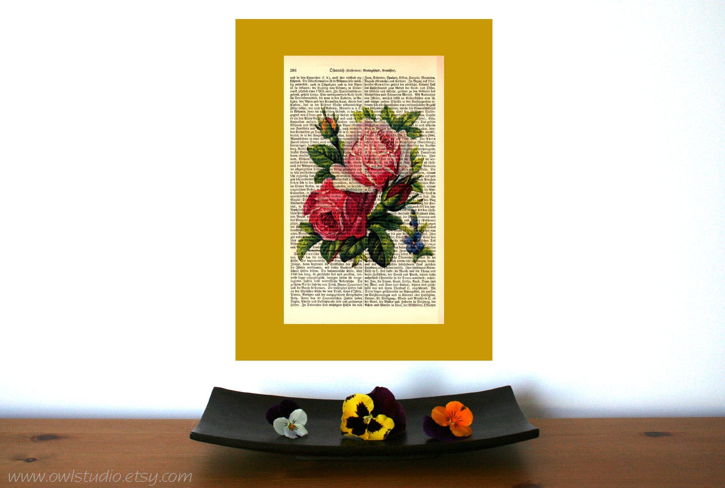 Roses Plant No 5 Vintage Art Print on Antique 1896 Dictionary Book Page