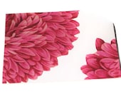 American Beauty Pink Aster Notecard Set of 4 Upcycled Cards in Rose and White - TeroldegoAndTomatoes