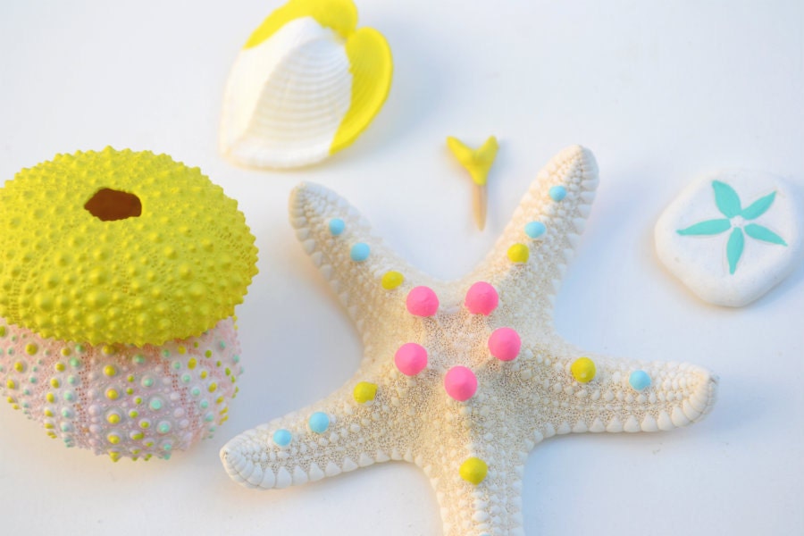 Neon Sea Urchin, Starfish, Seashells, Sand Dollar, Shark Tooth Collection - Color Dipped, Bright, Pastel and Neon, Beach, Nautical, Shapes