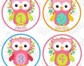 NEW Monthly Baby Onesie Stickers - Little Girl Hoot