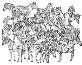 Zebras  // A4 Print